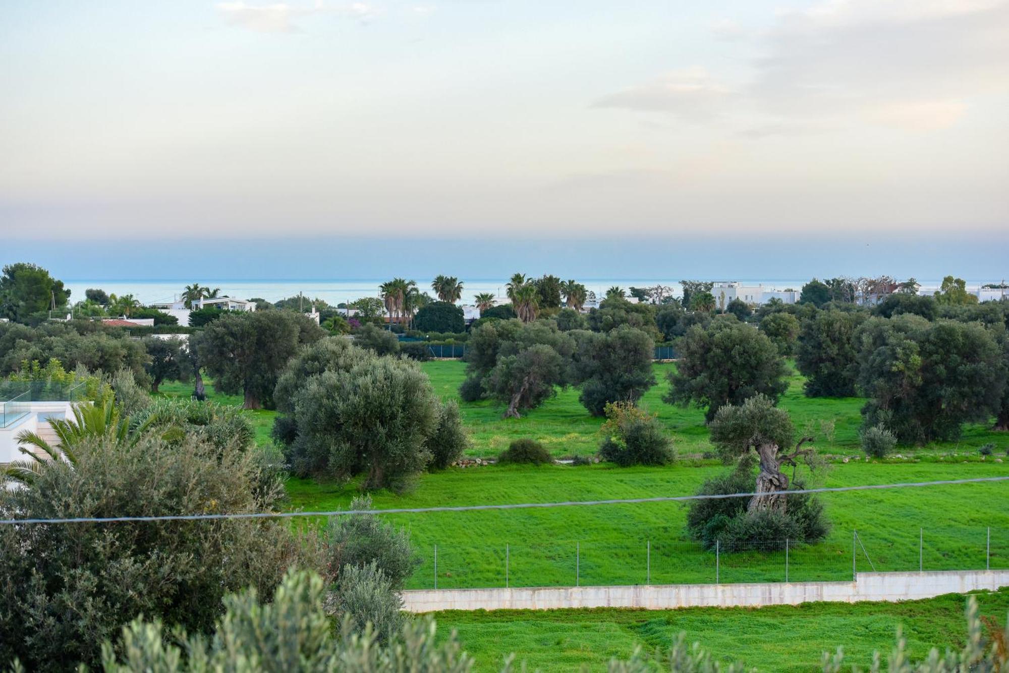 Villa Vinner - Monopoli Exterior photo