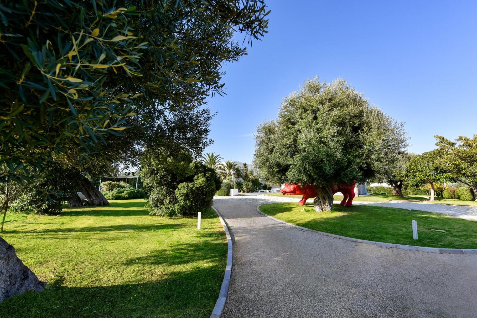 Villa Vinner - Monopoli Exterior photo